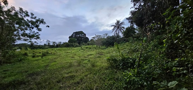 Farmlot for Sale in Minantok East, Amadeo, Cavite